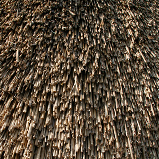 End on thatch