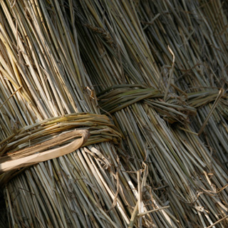 Bundles of reed