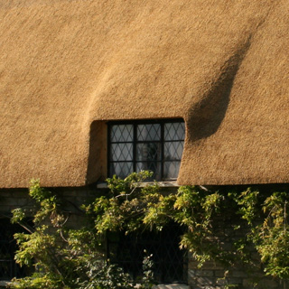 Thatched Window